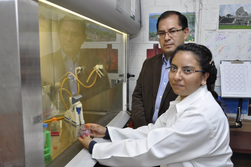 Expertos del IPN trabajan en fitofármacos cicatrizantes de nueva&nbsp;generación