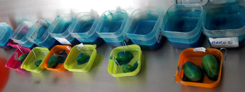 Crean biopelícula para conservación de&nbsp;frutas