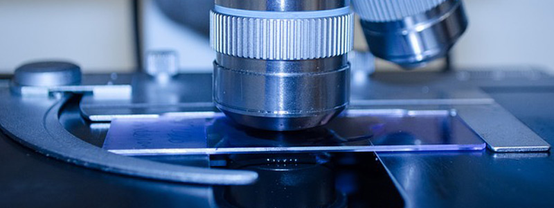 Zacatecanos crean software para mejorar&nbsp;diagnósticos