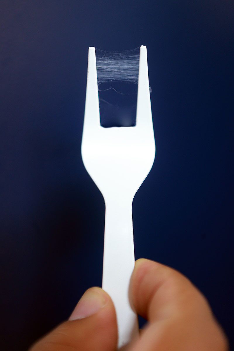 Estudia la UAM la utilidad de la seda de&nbsp;araña