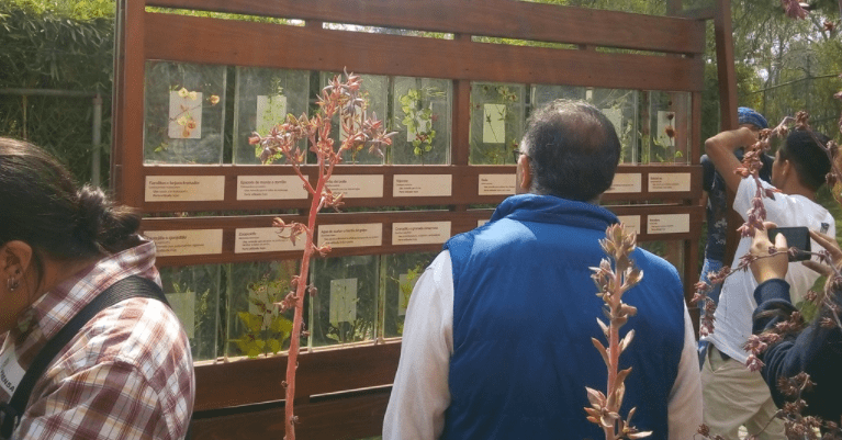 Universum tiene un nuevo&nbsp;jardín