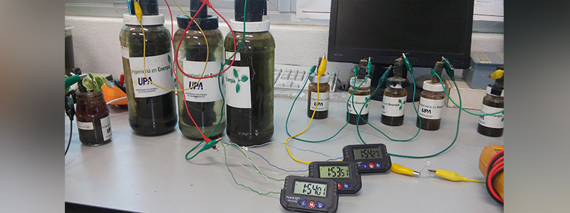 Energía limpia con&nbsp;microbios