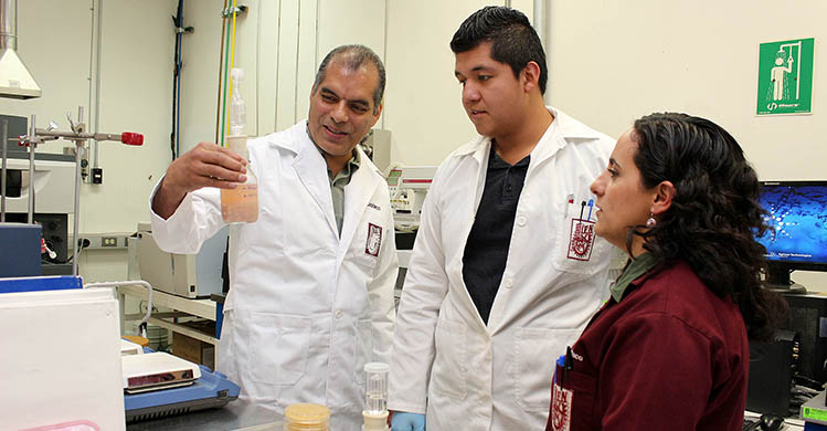 Optimizan en IPN proceso de malteado y fermentación de whisky&nbsp;artesanal