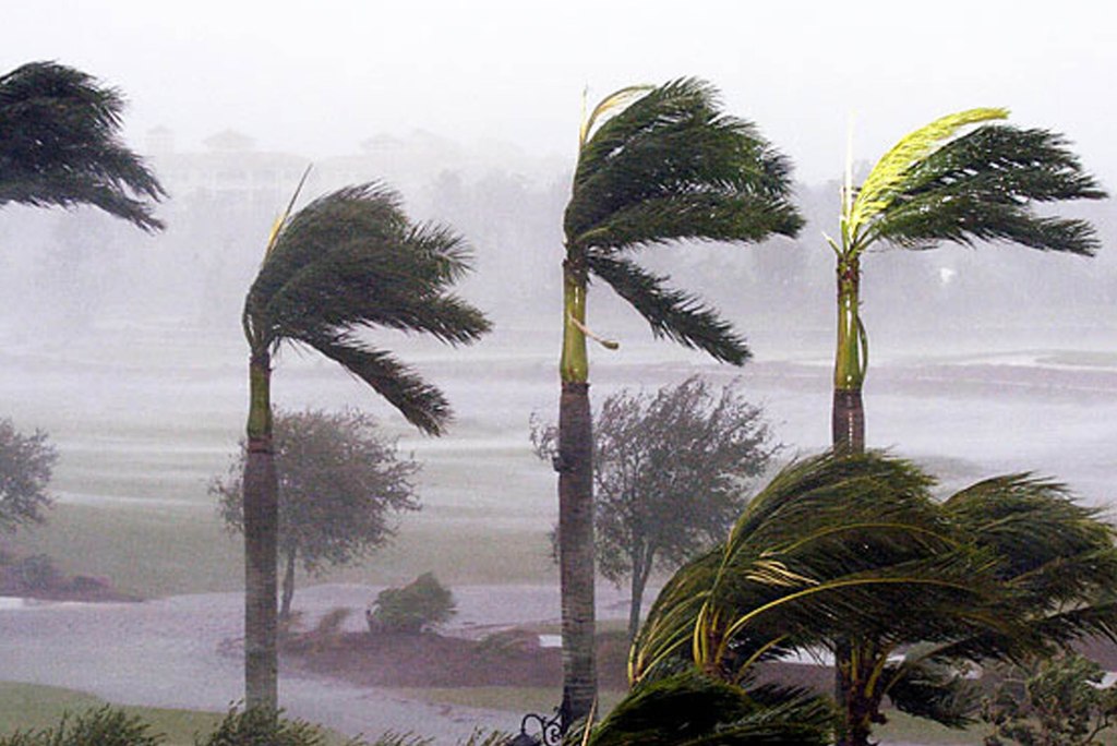 Predecir huracanes, ¿para&nbsp;qué?