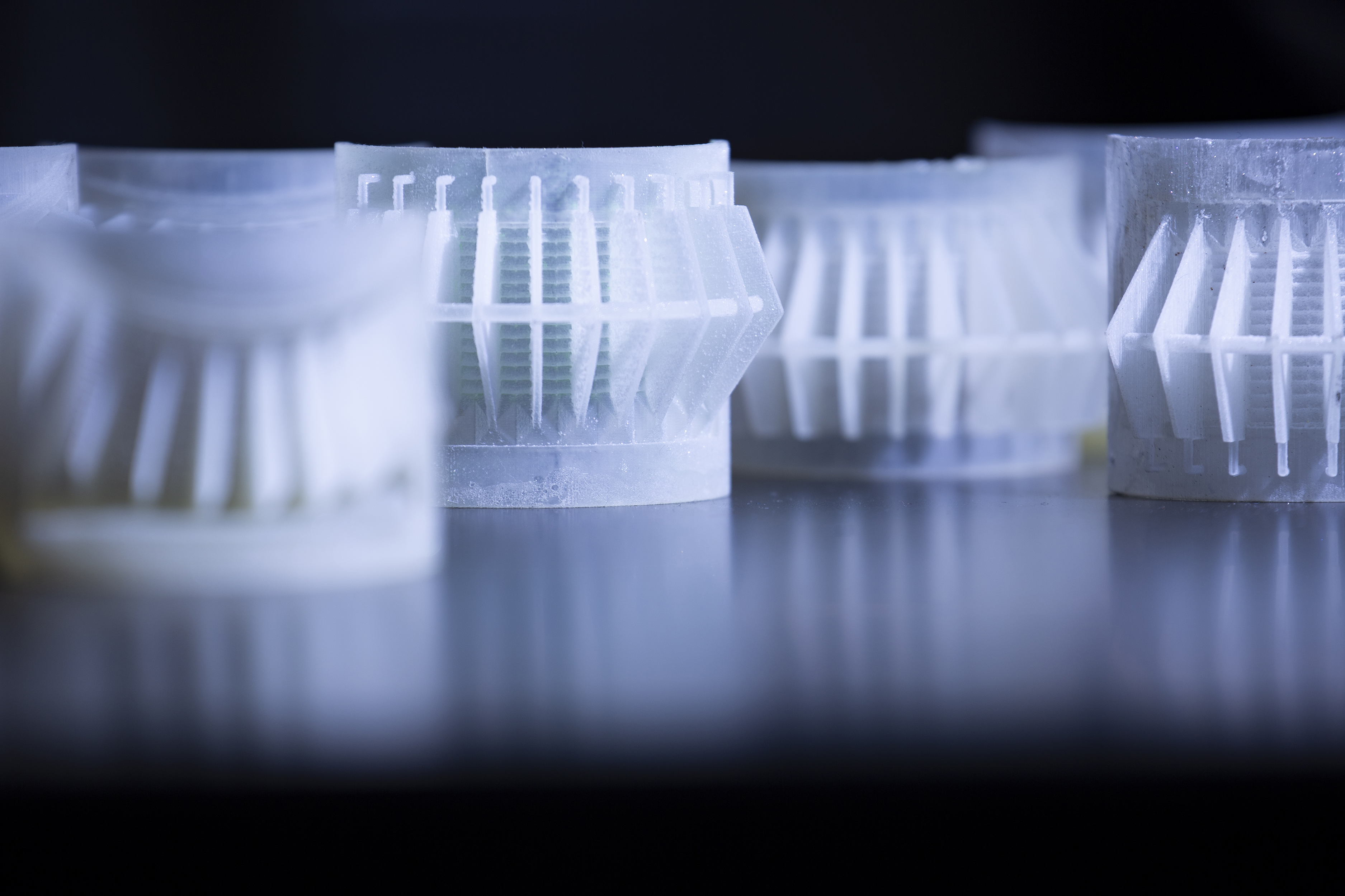 Científicos crearon un modelo 3D para simular los filtros de las mantarrayas