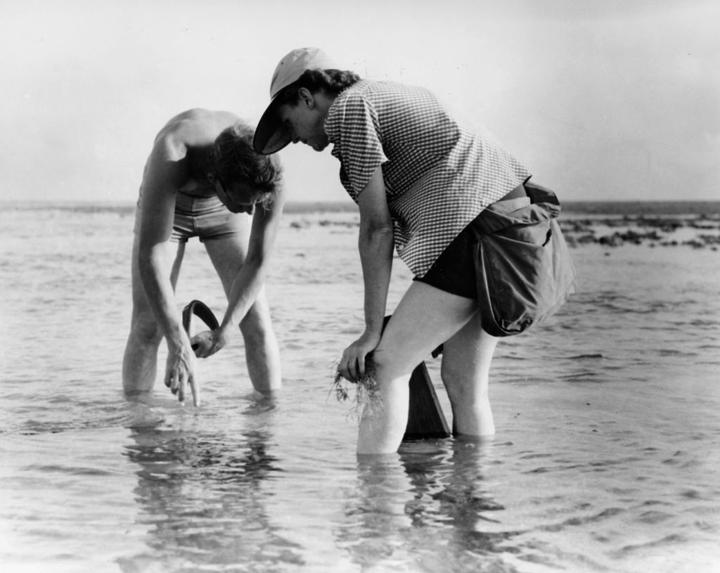 Rachel Carson and Bob Hines conducting marine biology research in Florida.