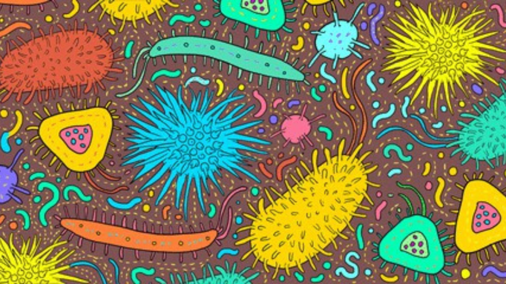 Escenarios y batallas microscópicas: bacterias contra&nbsp;virus