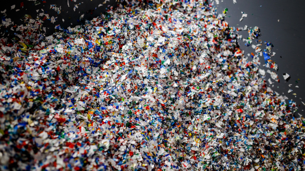 Consumiendo productos compostables en&nbsp;México