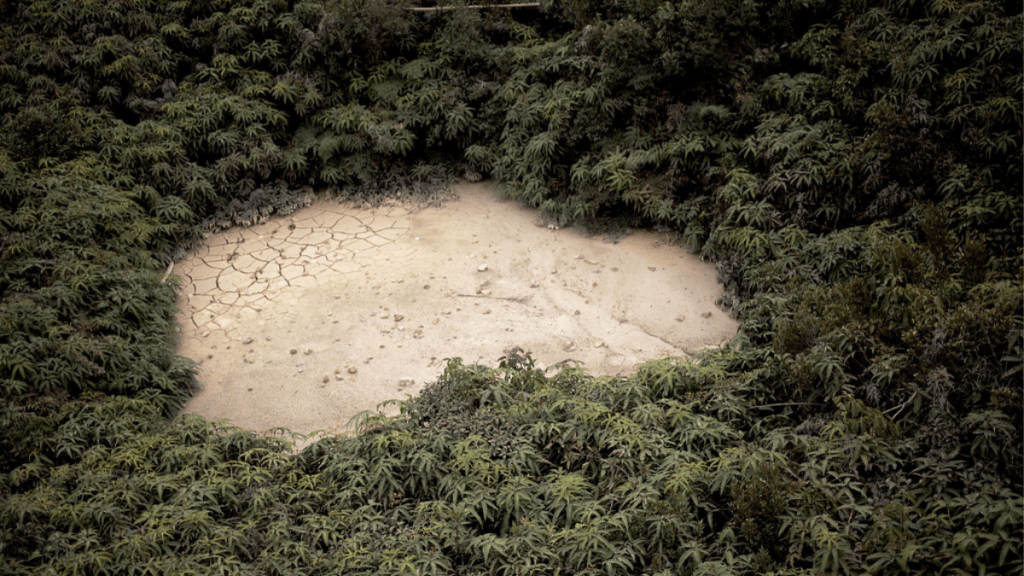 Crisis ambiental amenaza a mil millones durante su&nbsp;niñez